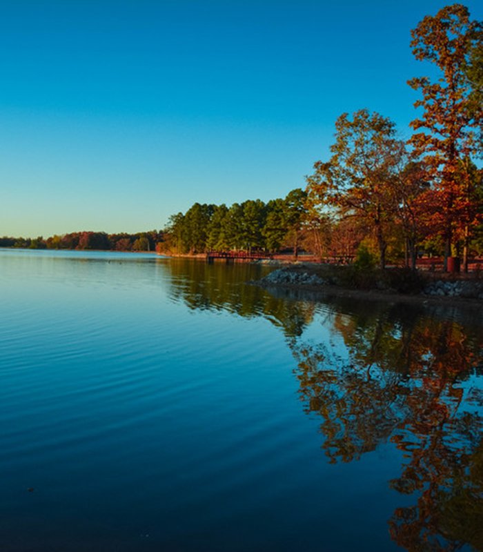 Beautiful lake with trees on the far shore